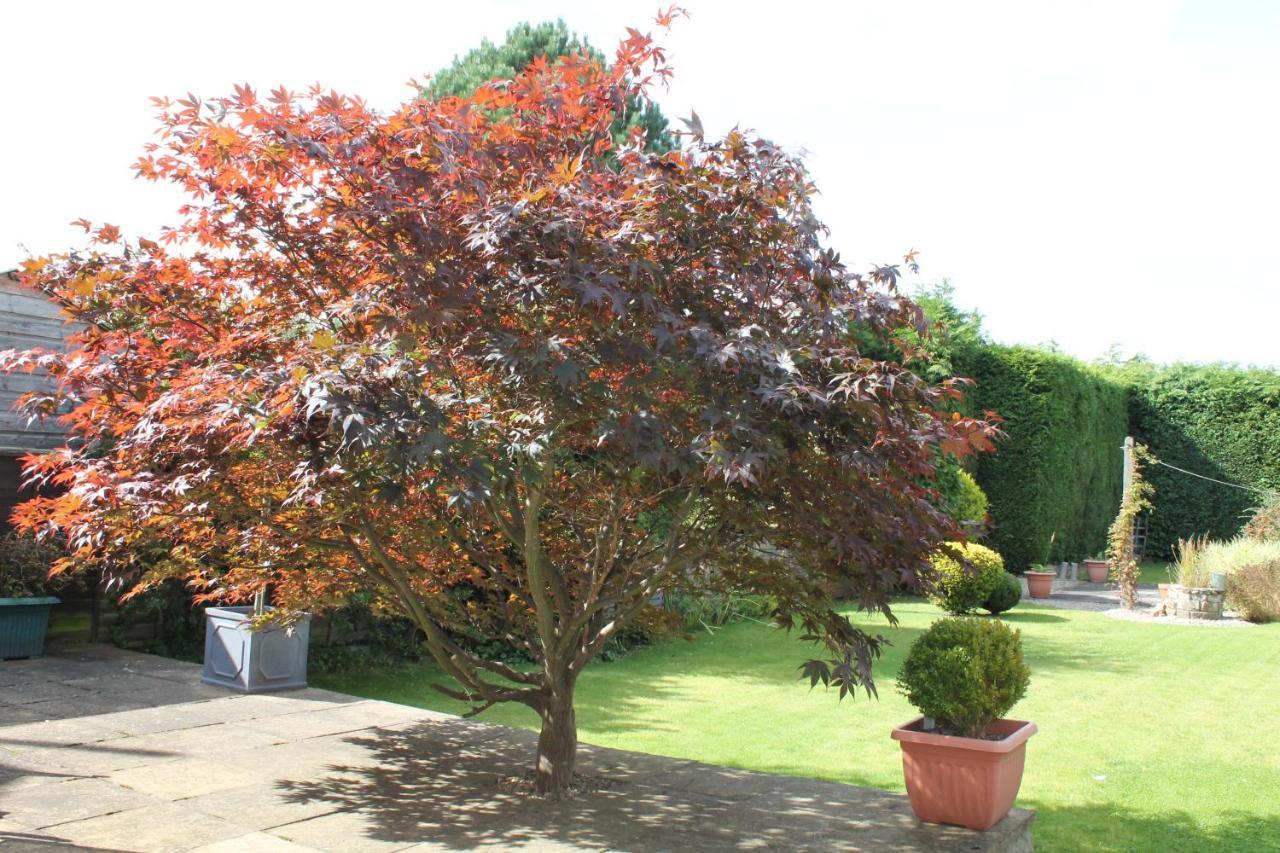 Casa de férias Chaloners, Free Parking, Large Garden, Close To Races & Centre York